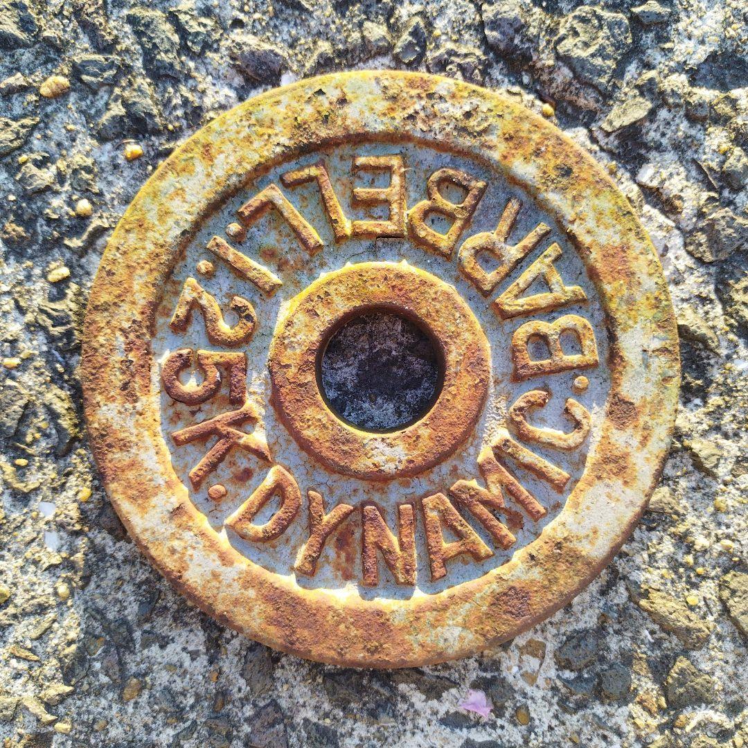 Dumbbell Plate Junk Garden